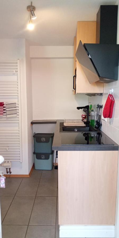 Ferienwohnung In Grenzach Eksteriør billede