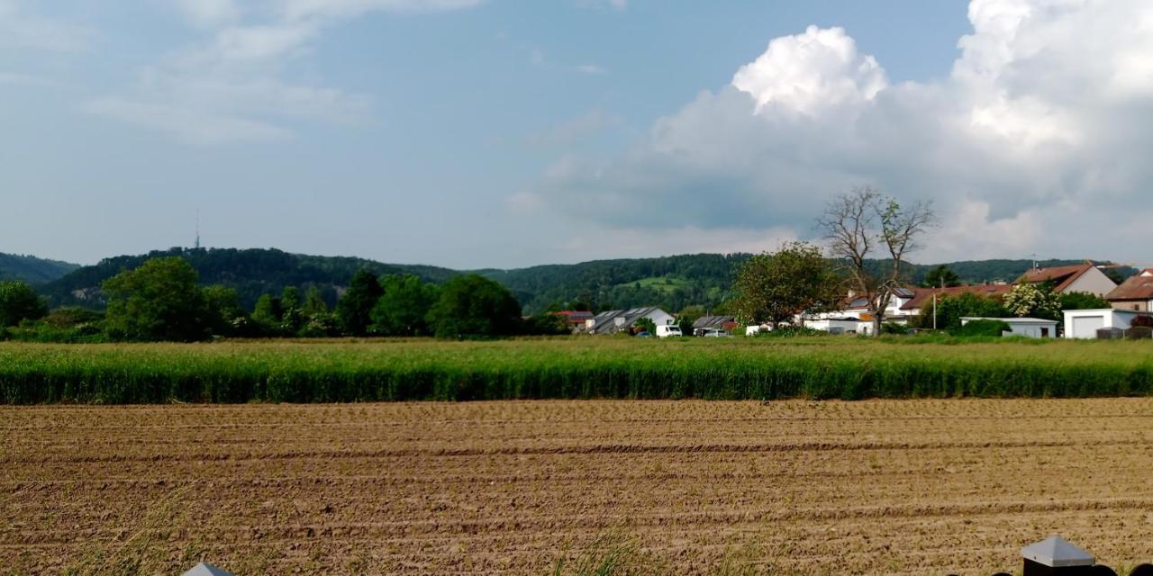 Ferienwohnung In Grenzach Eksteriør billede